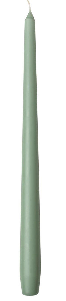 Świeca stołowa szałwia świeczka stożkowa bezzapachowa klasyczna prosta 25cm