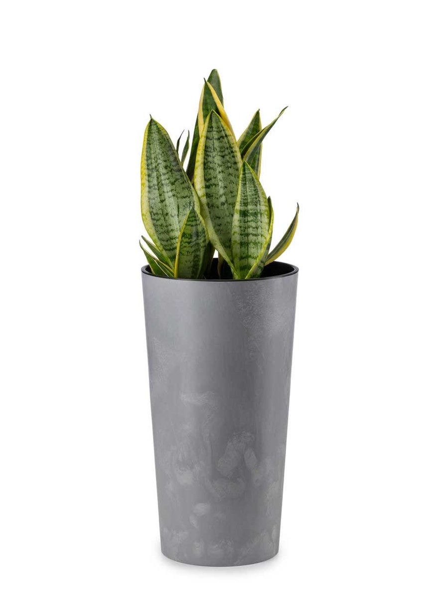 Doniczka z wkładem DONICA okrągła wysoka plastikowa SZARY BETON 46x25cm eko