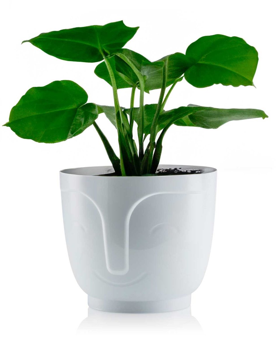 Osłonka na kwiaty rośliny zioła Doniczka BIAŁA głowa twarz OZDOBNA 18,5cm