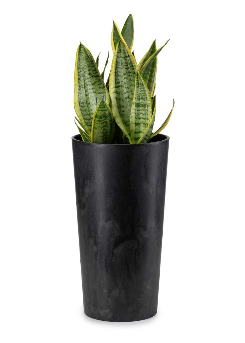 Donica Czarny Beton DONICZKA WYSOKA slim okrągła z wkładem do salonu h46x25