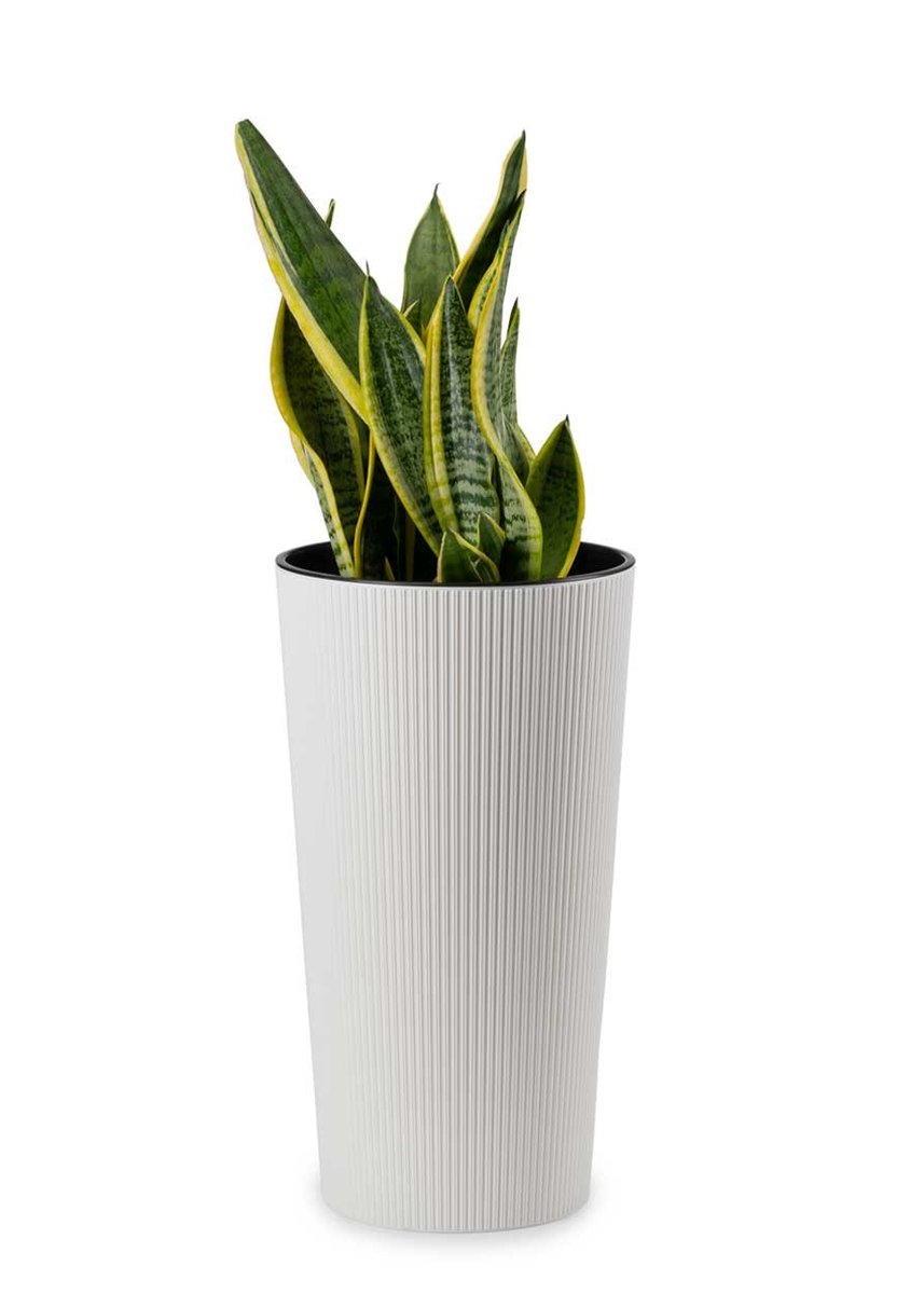 WYSOKA DONICA + WKŁAD do domu Ogrodu Taras Biała SLIM Kwietnik 46cm Eko Eco Recykling