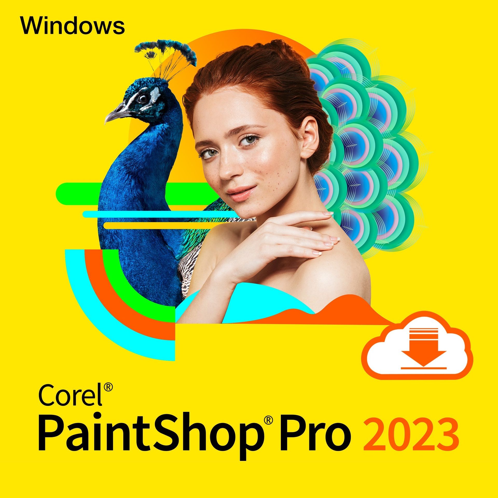 PaintShop® Pro 2023- lic. EDUKACYJNA, wieczysta, elektroniczna