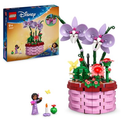 Lego DISNEY 43237 Tbd Animation 2024