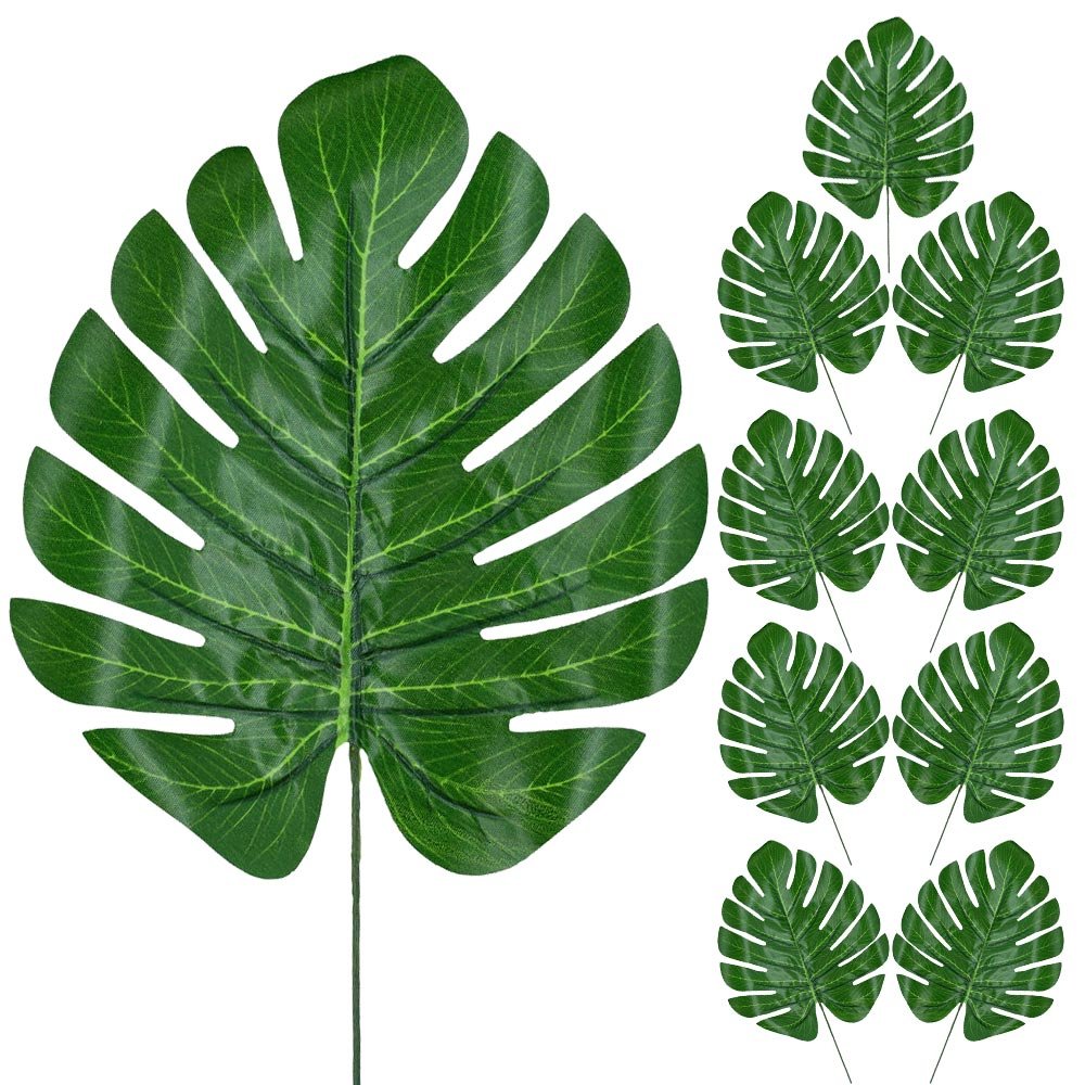 Liść 10szt Monstera Zieleń