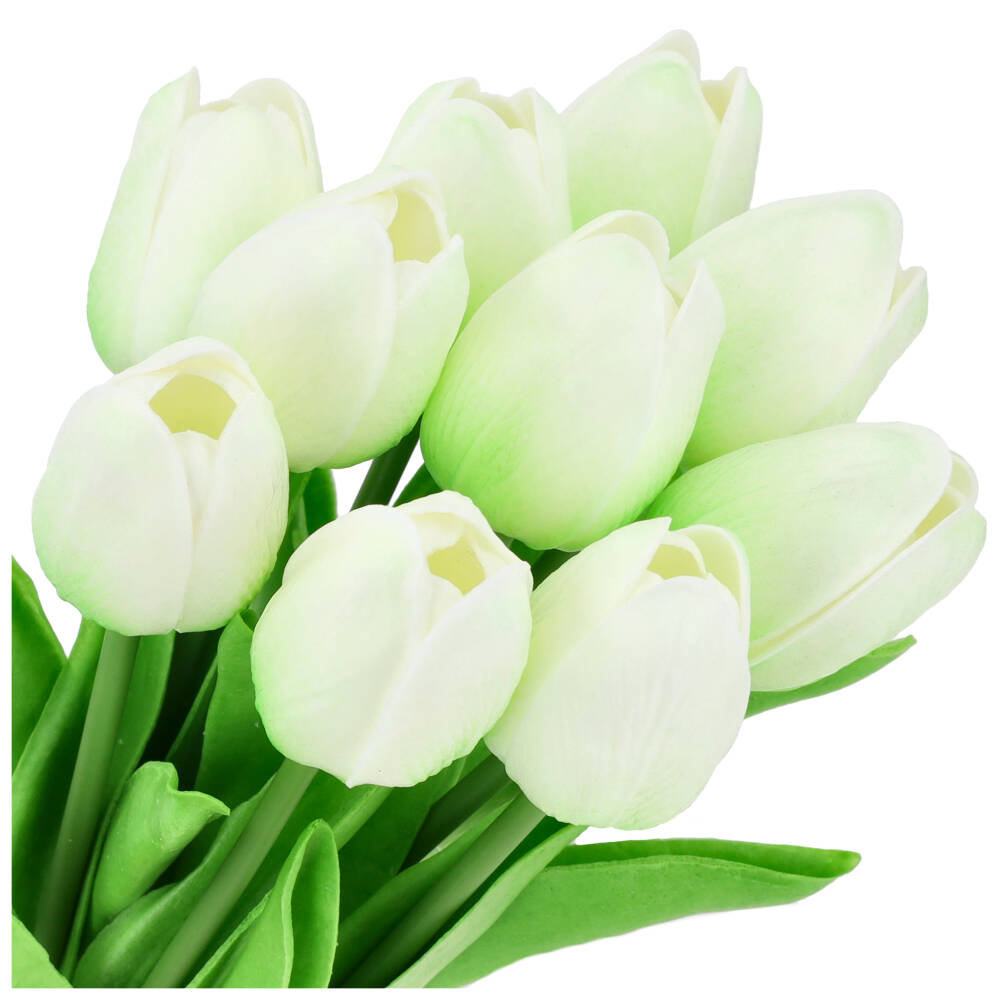 Tulipany 10szt Biel-Zieleń