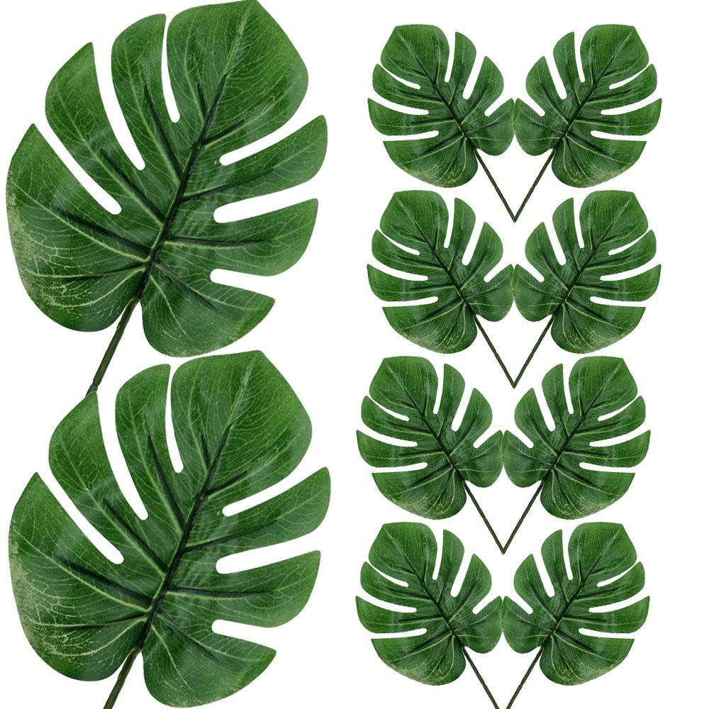 Liście Monstery Małe