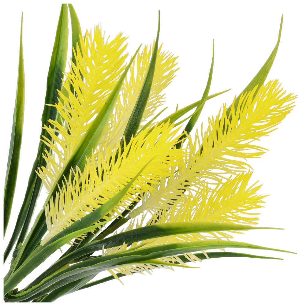 Gałązka Trawa Oset Żółty