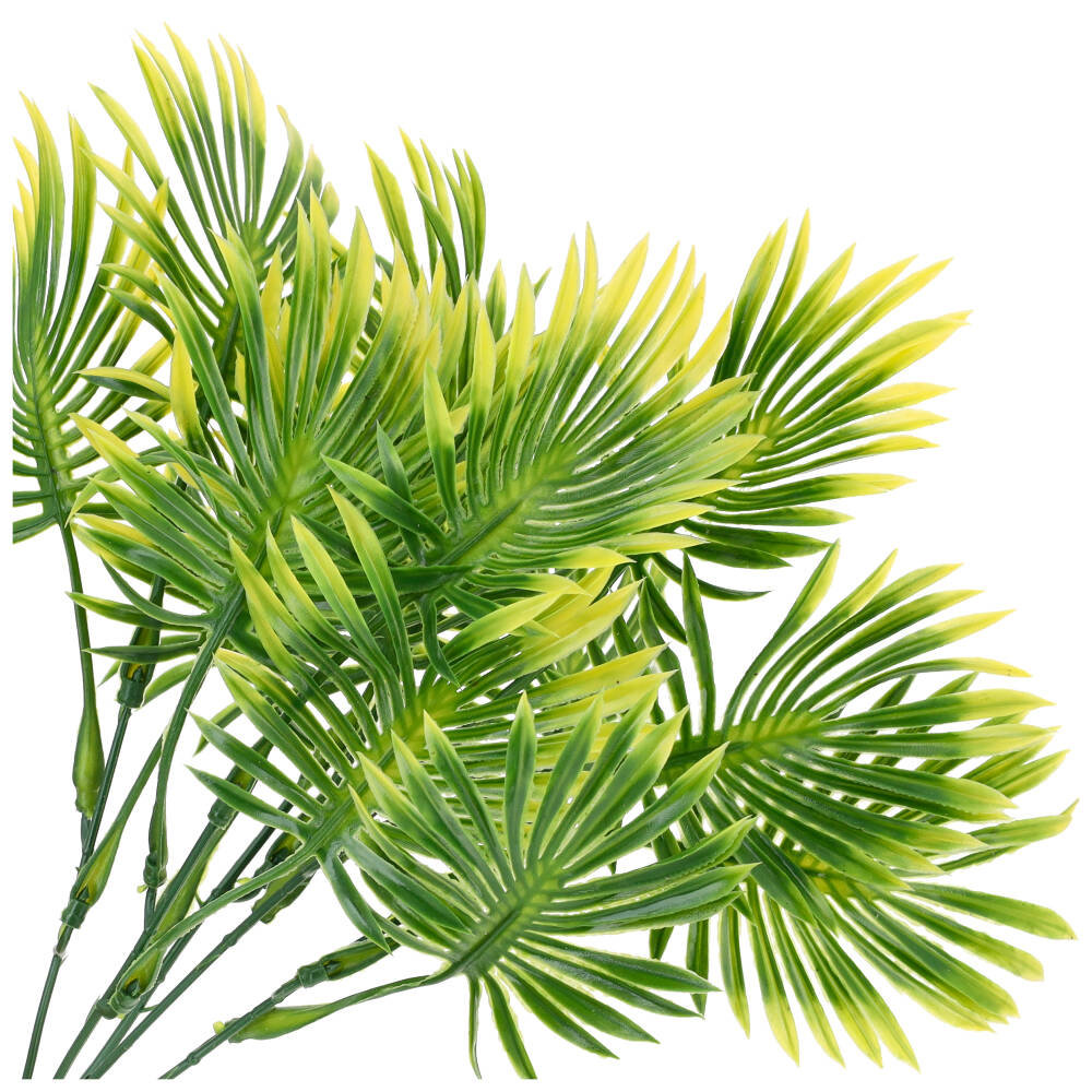 Gałązka Palma Zieleń