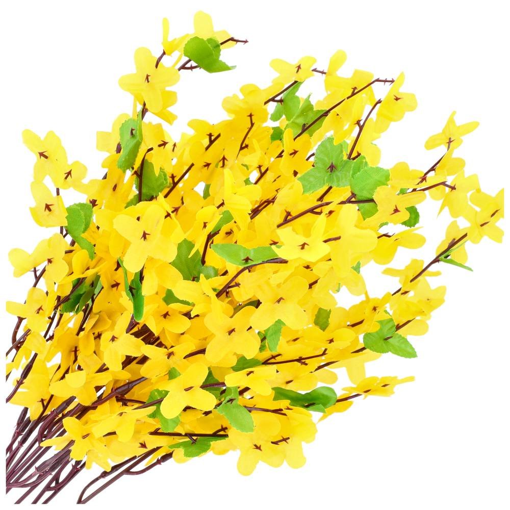 Forsycja Żółta 10szt