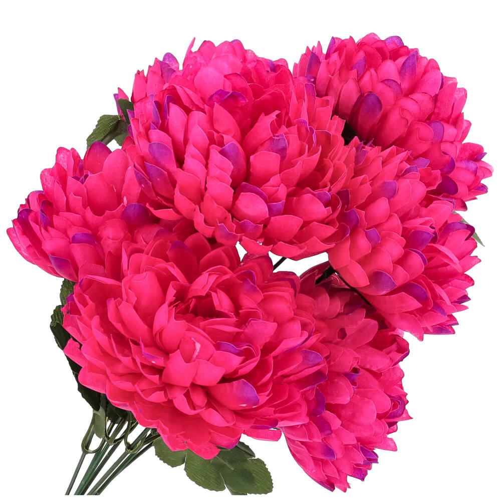 Bukiet 7 Chryzantema Duża Amarant KR288G