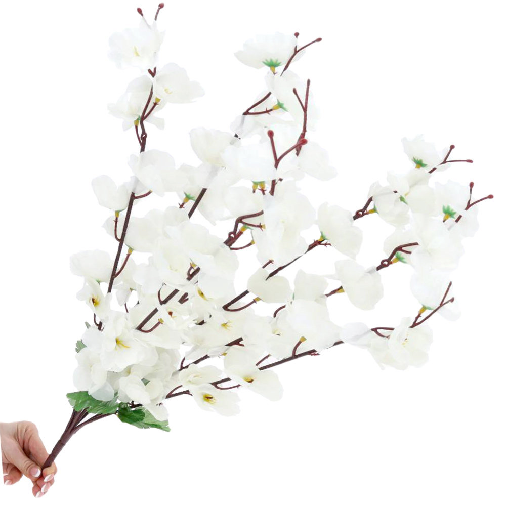 Gałązka Jabłonka Biel