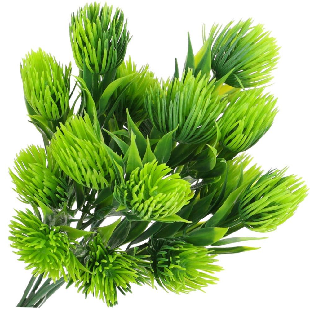 Gałązka Oset Zieleń