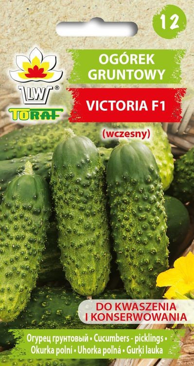Ogórek VICTORIA F1 (wczesny) Cucumis sativus L.