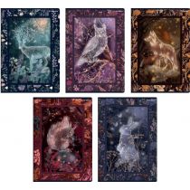 Top-2000 Zeszyt A5/32K kratka Fairytale (10szt) TOP2000