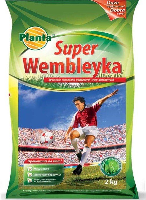 Trawa Super Wembleyka 2 kg PLANTA