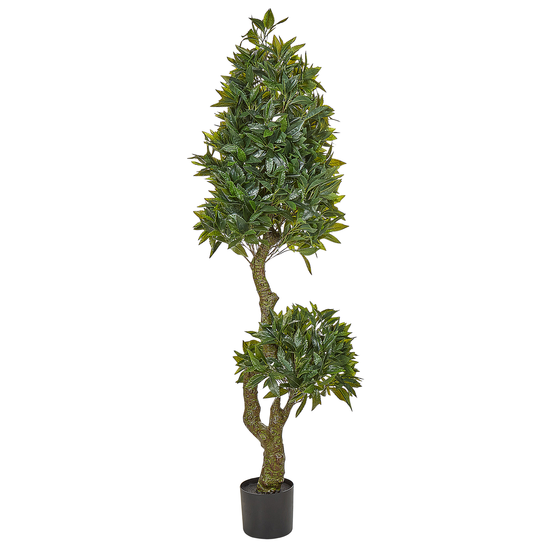 Sztuczna roślina doniczkowa 160 cm LAUREL