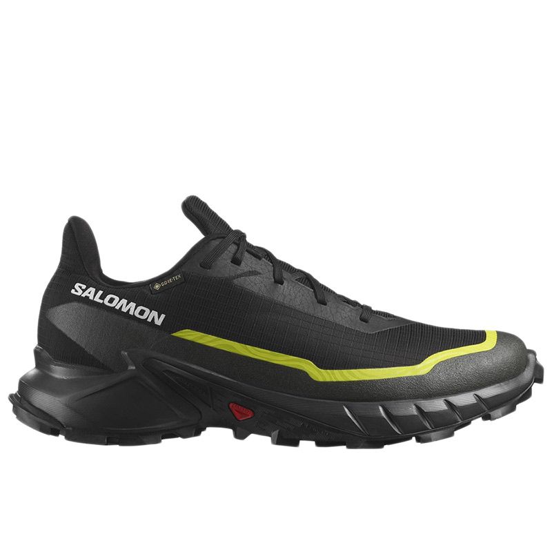 Buty Salomon Alphacross 5 Gore-Tex L47460400 - czarne