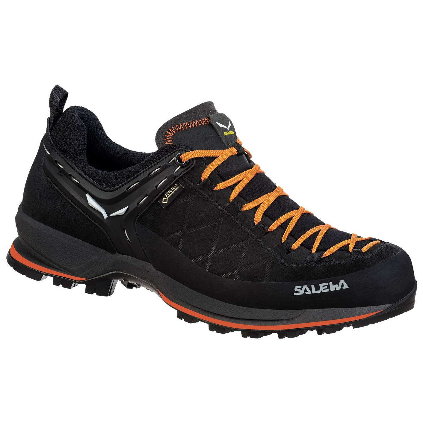 Buty męskie Salewa Ms Mtn Trainer 2 Gtx Rozmiar butów (UE): 46,5 / Kolor: czarny