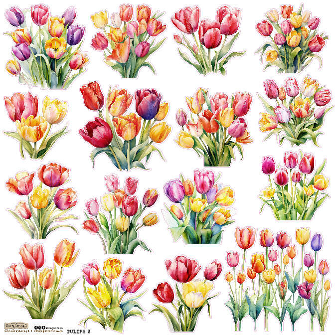 NAKLEJKI PAPIEROWE 24x24 ScrapLove Tulipany 2