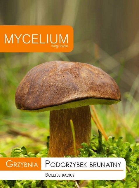 Grzybnia Podgrzybek brunatny 10 g