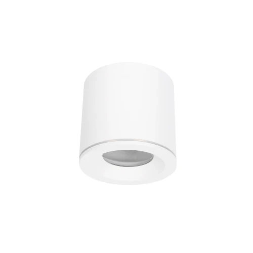 Luna lampa sufitowa tuba 1xGU10/IP65 biała CL0103-WH