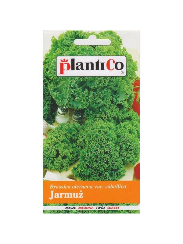 Jarmuż Halbhoher Gruner Krauser 2g PlantiCo