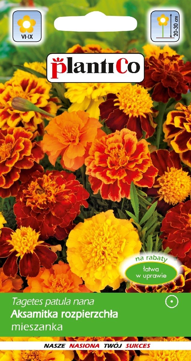 Aksamitka Rozpierzchła Mieszanka 1g PlantiCo