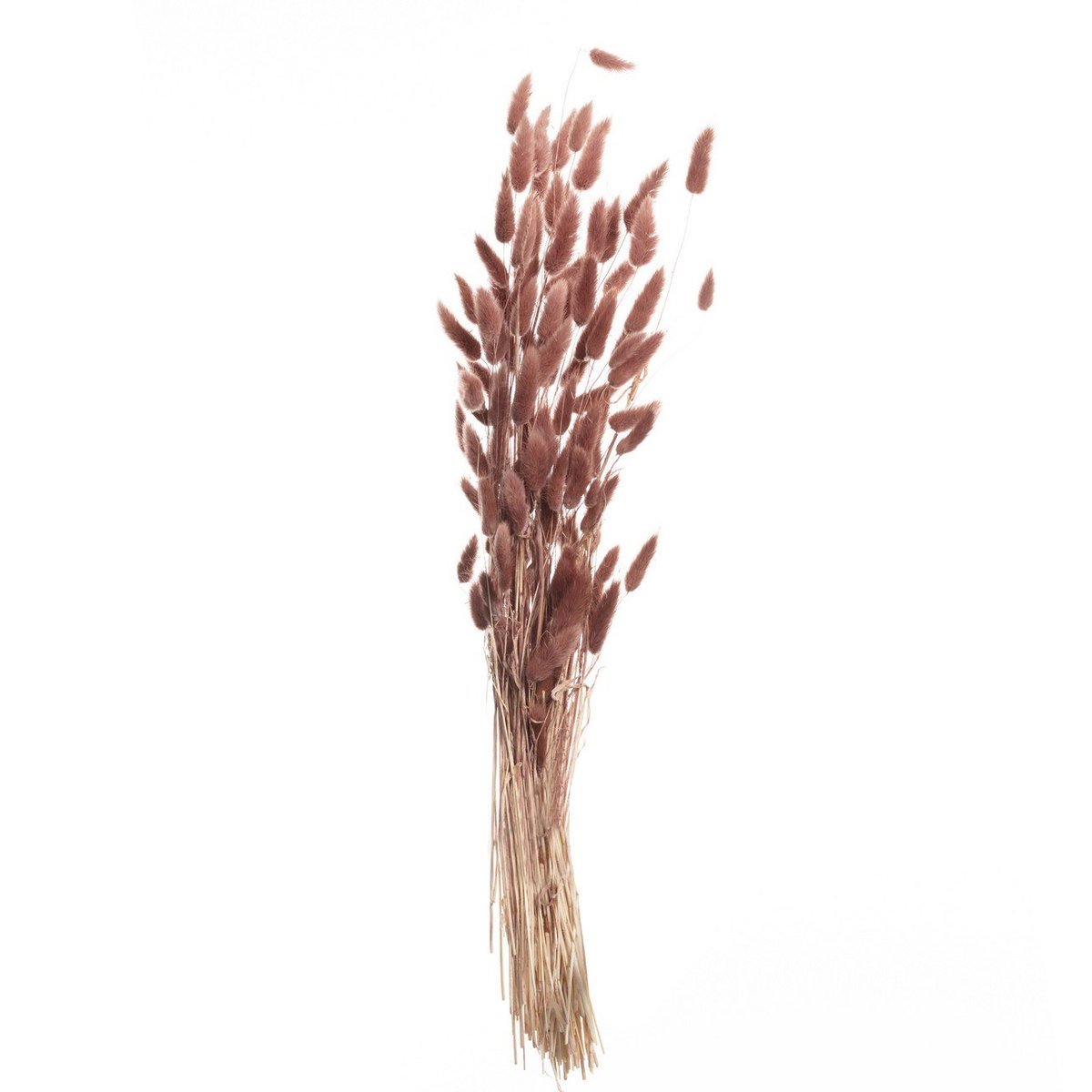Bukiet Dmuszka 60cm dusty pink, 5 x 5 x 60 cm