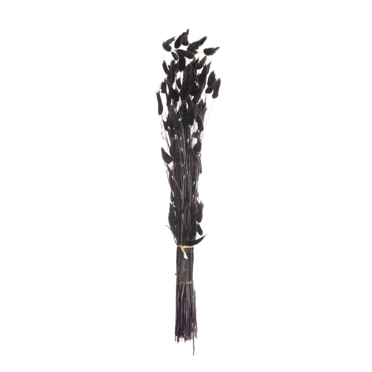 Bukiet Dmuszka 60cm dark brown, 5 x 5 x 60 cm