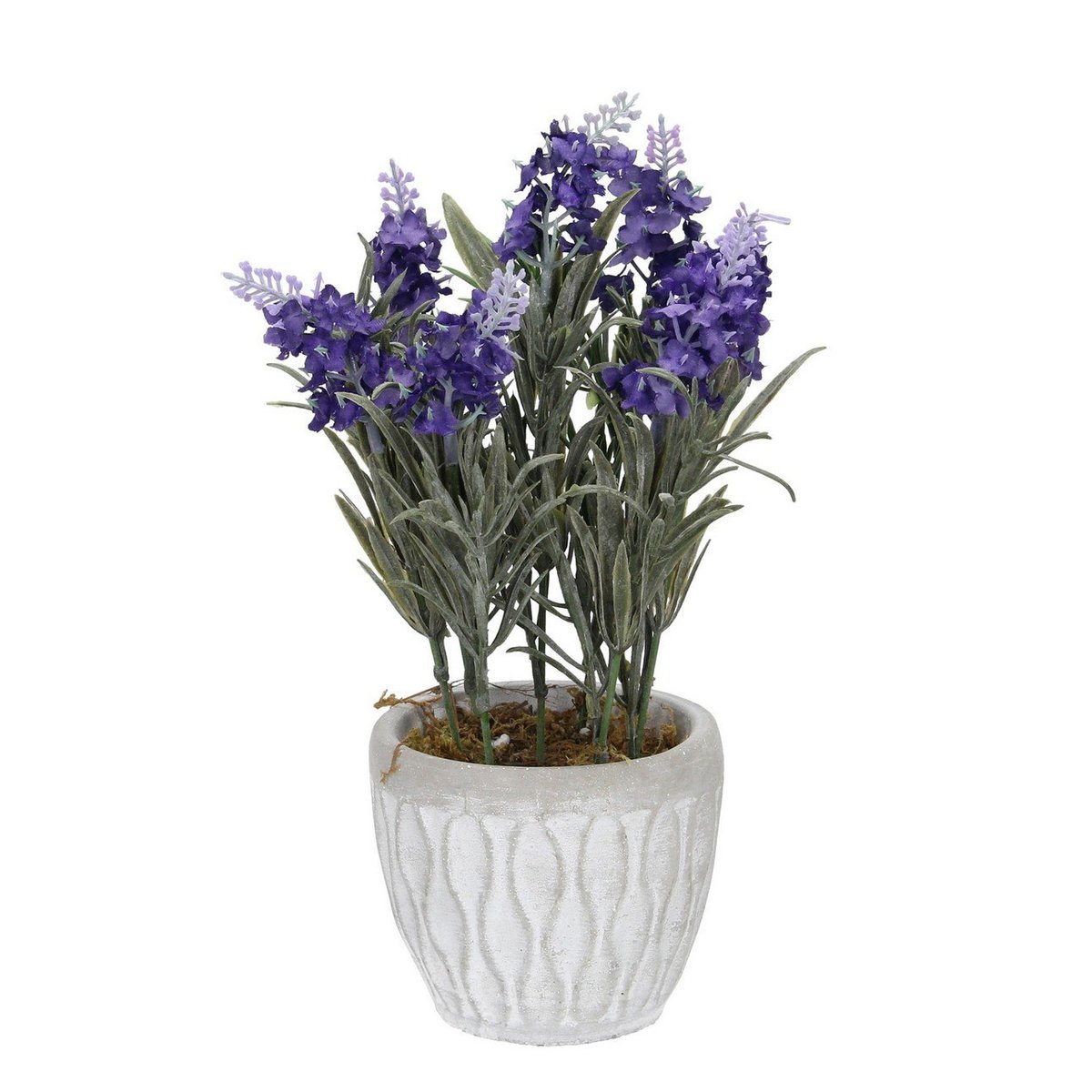 Dekoracja Levander 32cm, 11 x 11 x 32 cm