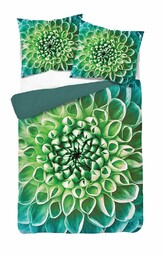 Detexpol Pościel z mikrofibry 3D 160x200 Roślina zielona 4228 A mikro 28