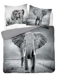 Detexpol Pościel bawełniana 160x200 3813 A Słoń szara młodzieżowa Słonie elephant Holland Natura 2