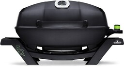 Napoleon TravelQ PRO285E