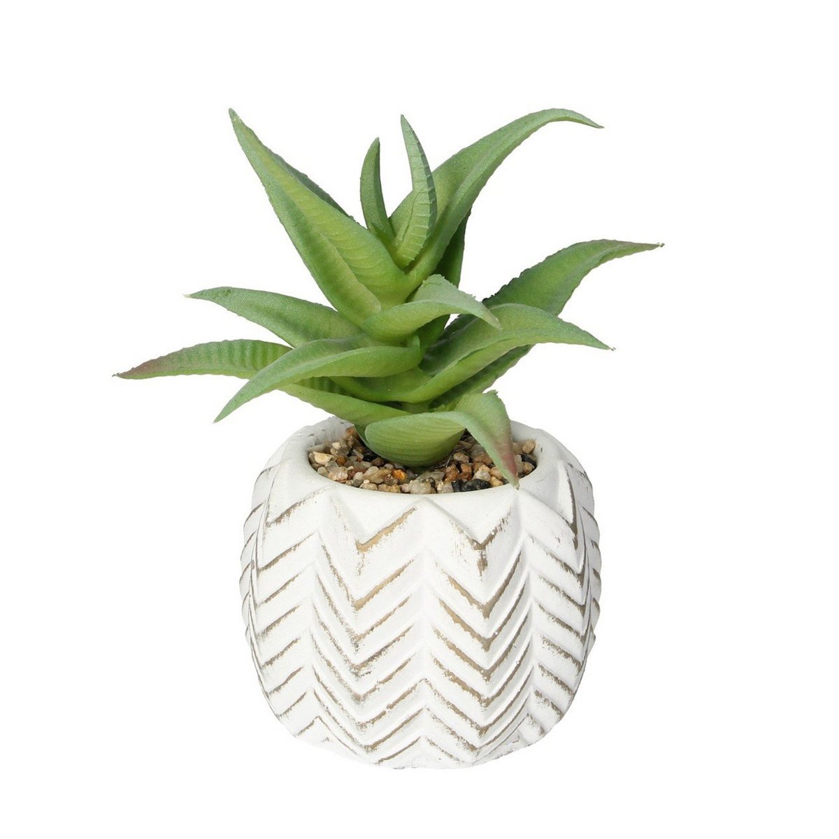 Dekoracja Aloes I 14cm, 8 x 8 x 14 cm