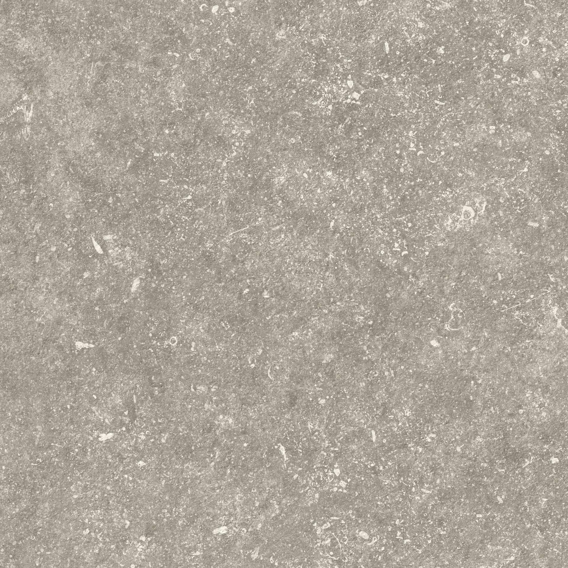 Gres tarasowo-balkonowy Medicio 2.0 grey matt rectified 59,3x59,3 Opoczno