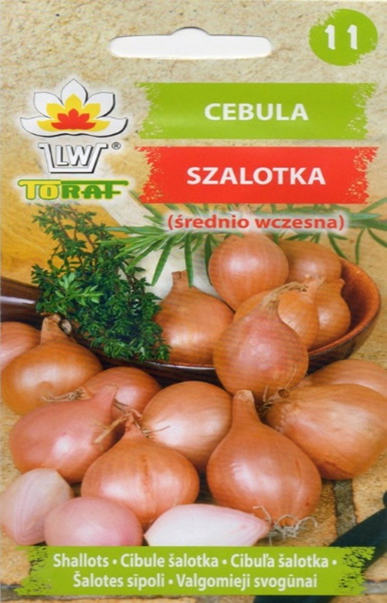 Cebula Szalotka Conservor F1 średnio wczesny 20 szt nasiona warzyw cebuli