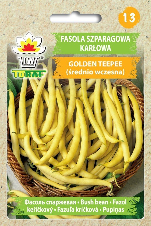 Fasola szp. karł. żółtostr. GOLDEN TEEPEE (śr. wczesna) Phaseolus vulgaris L.