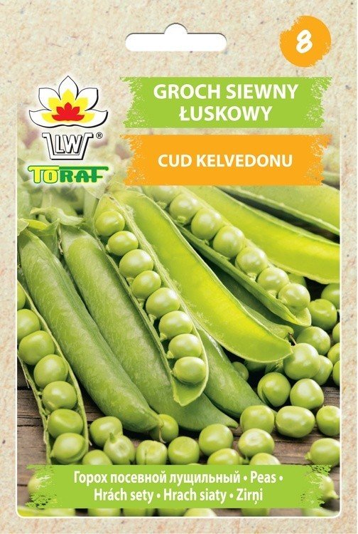 Groch siewny łuskowy CUD KELVEDONU (wczesny) Pisum sativum L.