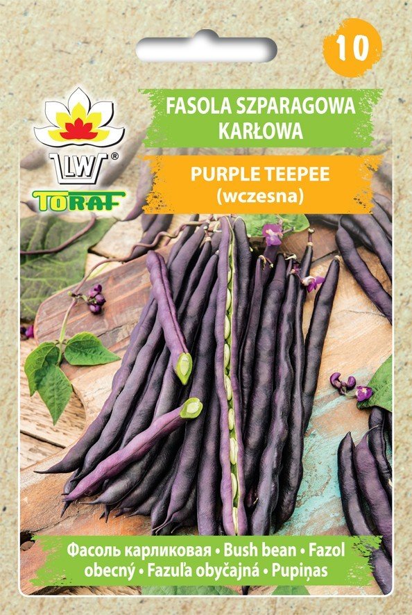 Fasola szp. karł. fioletowostr. PURPLE TEEPEE (wczesna) Phaseolus vulgaris L.