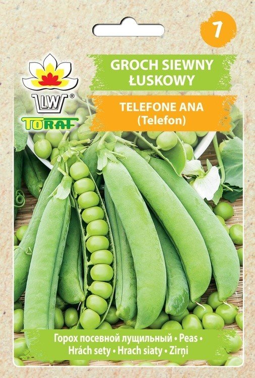 Groch siewny łuskowy TELEFONE ANA (Telefon, b. późny) Pisum sativum L.