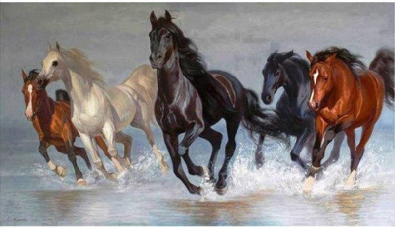 Norimpex, Diamentowa mozaika, Konie, 40x80 cm