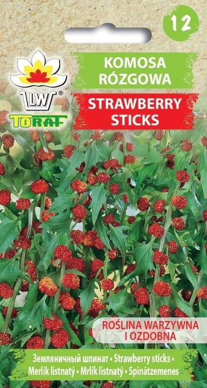 Komosa rózgowa STRAWBERRY STICKS Chenopodium foliosum