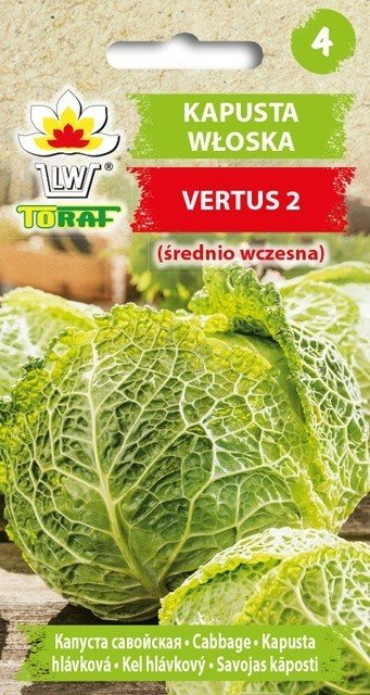 Kapusta włoska VERTUS 2 (śr. wczesna) Brassica oleracea L. var. sabauda