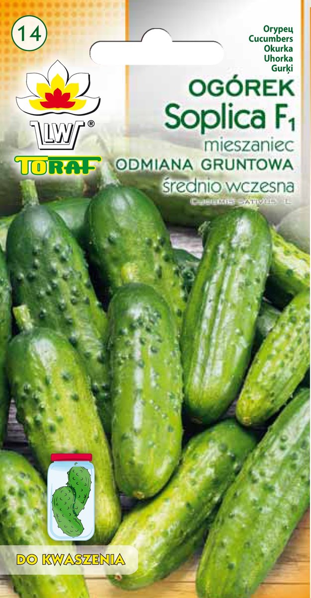 Ogórek Gruntowy Soplica F1 Do Kwaszenia 5Gr