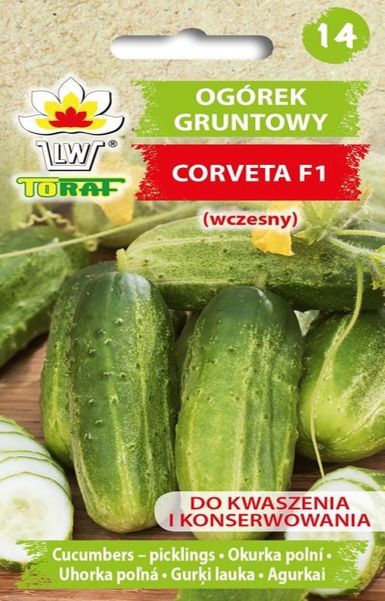 Ogórek Corveta F1 wczesny ciemnozielony nasiona warzyw