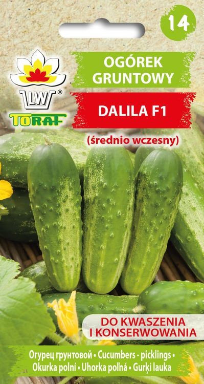 Ogórek DALILA F1 (typu Polan, śr. wczesny) Cucumis sativus L.