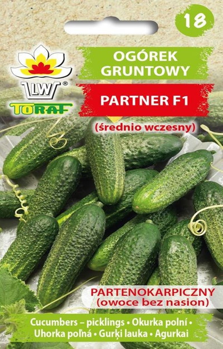 Ogórek Partner F1 średnio wczesny nasiona warzyw