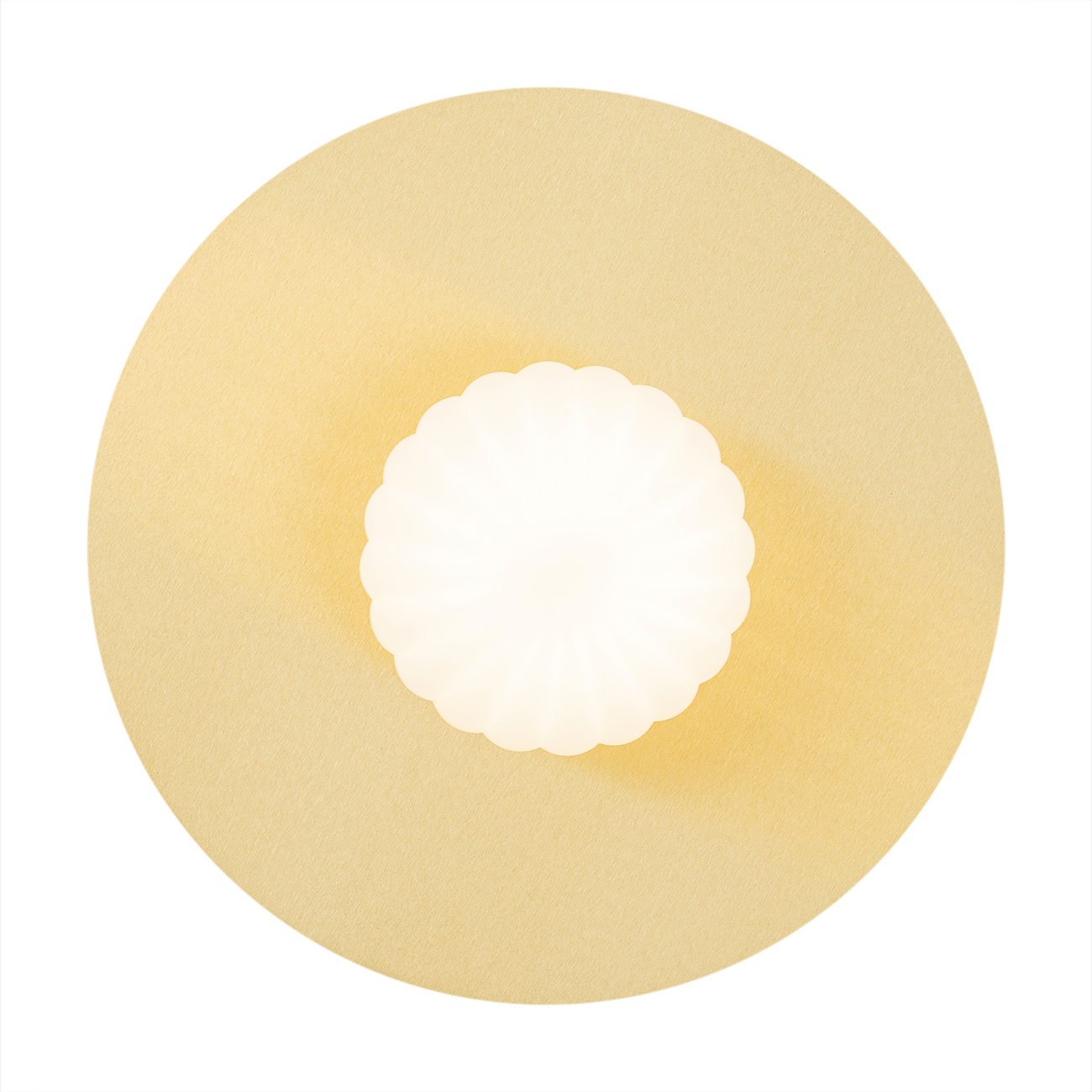Kinkiet / plafon PALOMA 8503 - Argon