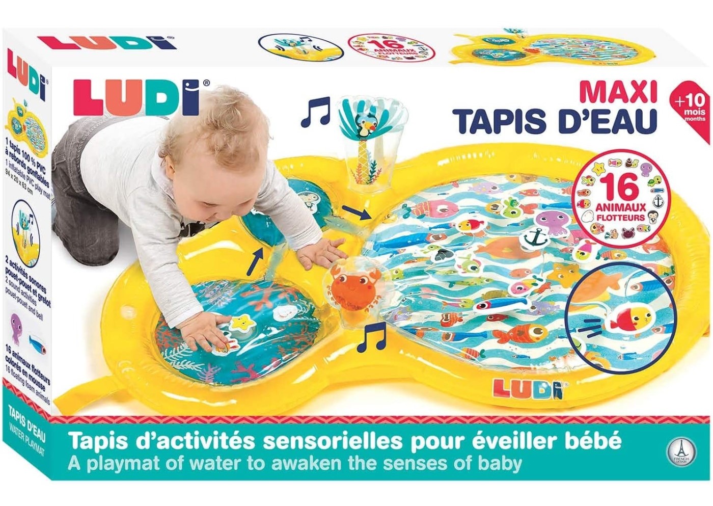 Mata wodna Ludi Morski świat