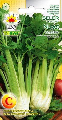 Seler naciowy NUGET (wczesny) Apium graveolens L. var. dulce